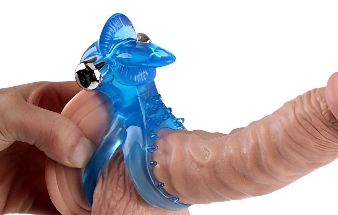 Cock ring for the penis