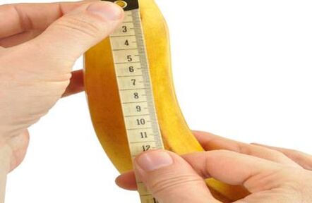 Normal dimensions of the penis
