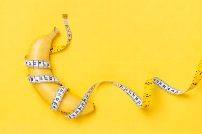 The average size of the penis is in an erection - 13.12 cm