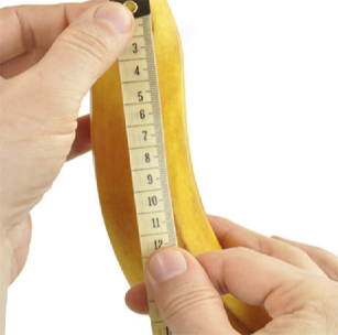 Banana is measured with a centimeter tape